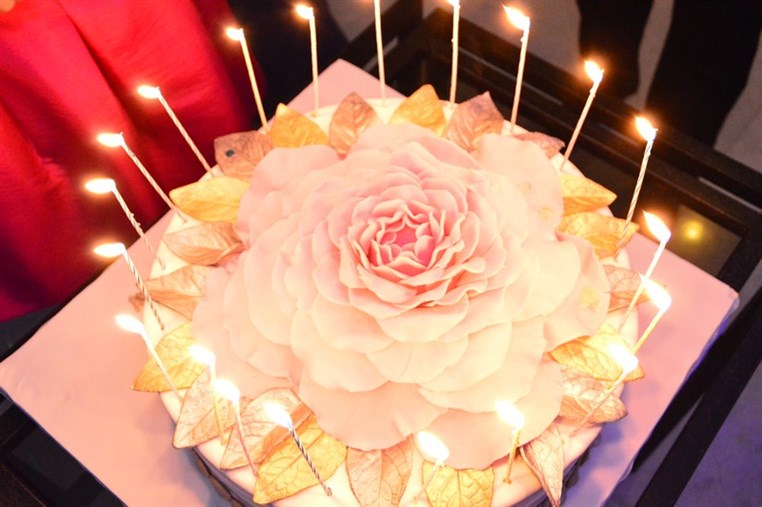 Mira El Khalil 20th Birthday Celebration 